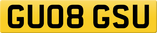 GU08GSU